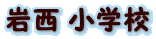 ␼ wZ