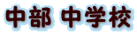  wZ